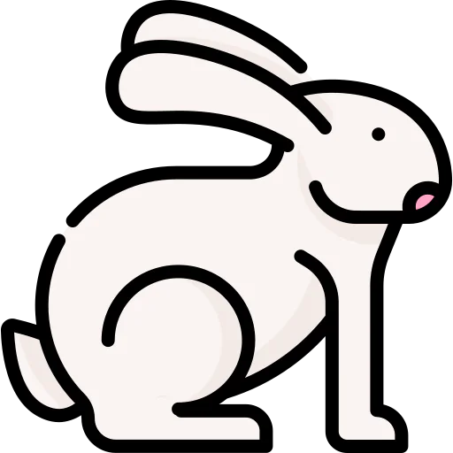 Rabbit 图标