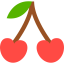 Cherry icon 64x64