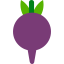 Beetroot icon 64x64