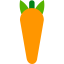 Carrot icon 64x64