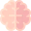 Brain icon 64x64