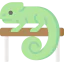 Chameleon icon 64x64