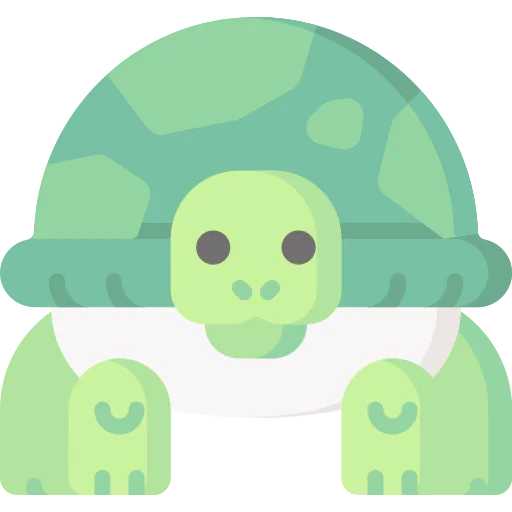 Turtle icon