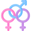 Bisexual 图标 64x64