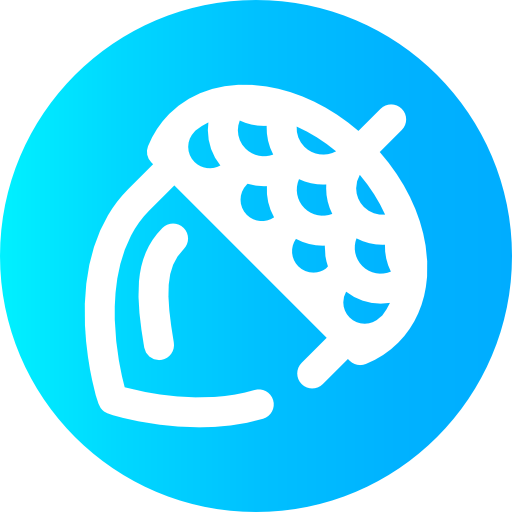 Acorn 图标