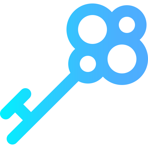 Key icon