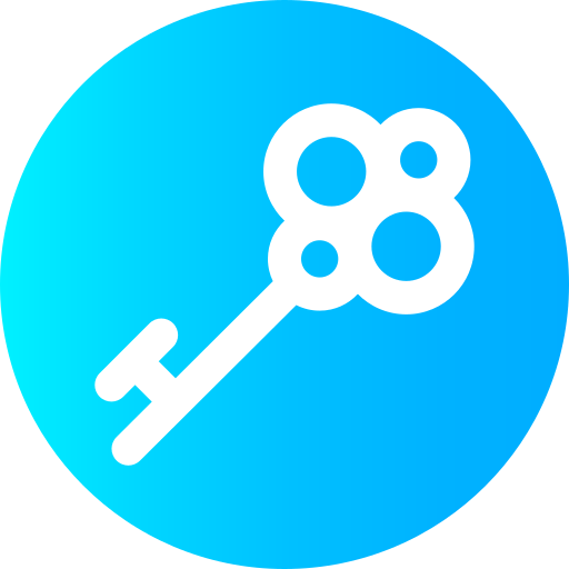 Key icon