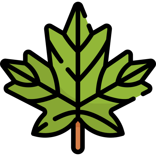 Maple leaf icon