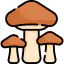 Mushrooms icon 64x64