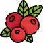 Berry icon 64x64