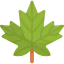 Maple leaf ícono 64x64
