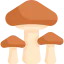 Mushrooms icon 64x64