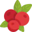 Berry icon 64x64