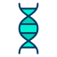 Dna ícone 64x64