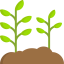 Plant 图标 64x64
