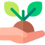 Sprout biểu tượng 64x64