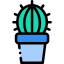 Cactus 图标 64x64