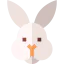 Rabbit ícono 64x64
