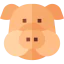 Pig Ikona 64x64