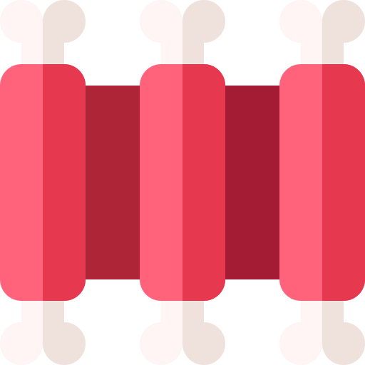 Ribs icon