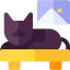 Cat 图标 64x64