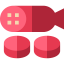 Salami icon 64x64