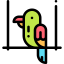 Parrot icon 64x64