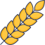 Wheat icon 64x64
