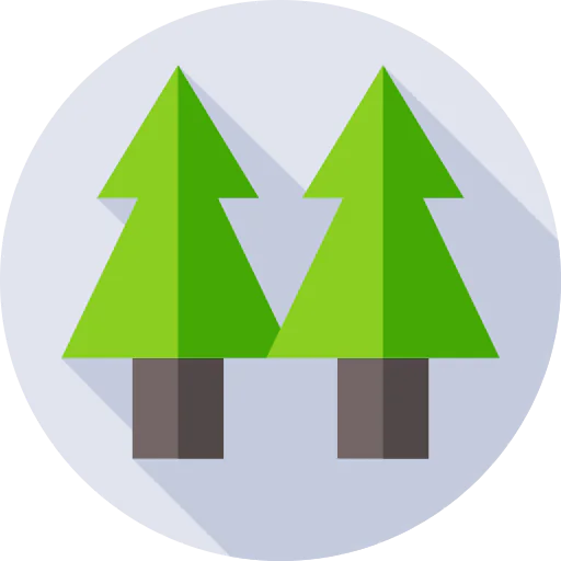 Pine tree icon