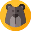 Bear Ikona 64x64