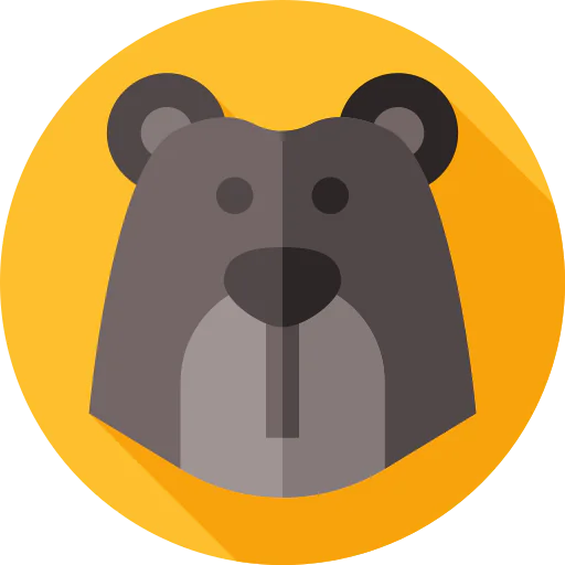 Bear icon