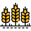 Wheat 图标 64x64