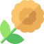 Paper flower icon 64x64