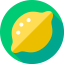 Lemon icon 64x64