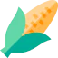 Corn icon 64x64