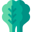 Lettuce icon 64x64