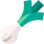 Leek icon 64x64