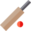 Cricket icône 64x64
