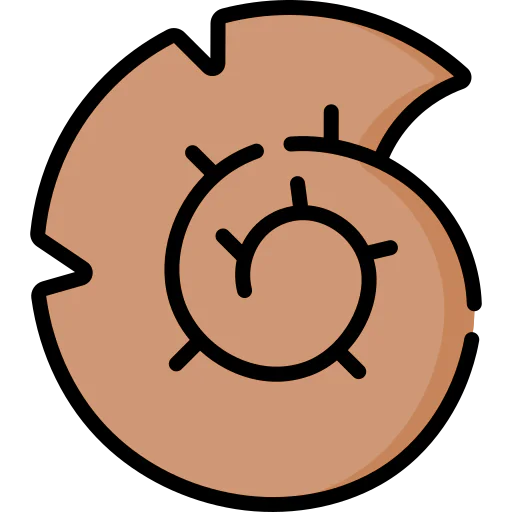 Fossil 图标