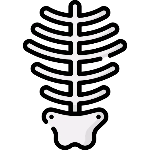 Skeleton icon
