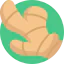 Ginger icon 64x64