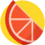Grapefruit icon 64x64