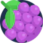 Grape icon 64x64