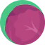 Red cabbage icon 64x64