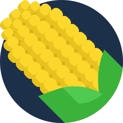 Corn icon
