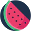 Watermelon icon 64x64