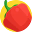 Red pepper icon 64x64