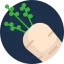 Turnip icon 64x64