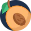 Apricot icon 64x64