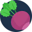 Radish icon 64x64